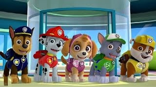 PAW Patrol Academy - Nick Junior Games For Kids