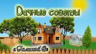 Дачные советы с Галиной Старосельцевой Апрель 04-2018
