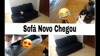 Meu Sofá Novo chegou + Arranhador para meu gatinho