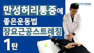 만성허리통증에 좋은 운동(1) - 장요근 공 스트레칭