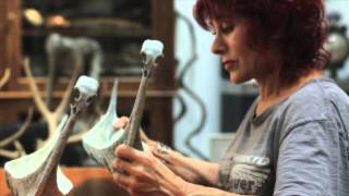 CHERYL EKSTROM : SETTING FORTH