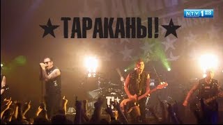 Тараканы концерт в Минске 23.03.2015. Полная версия