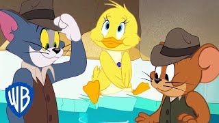 Tom y Jerry en Latino | Cuidadores de patos | WB Kids
