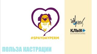 Польза кастрации #SPAYDAYPERM 2017