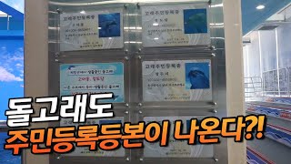 돌고래한테도 주민등록등본이 있다?