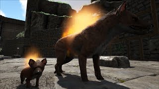 Роды гиены и топовая киска ► Ark survival evolved ragnarok