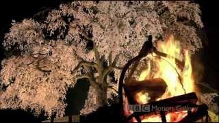 1920 x 1080 imax hd test japan hi quality full hd 1080 widescreen