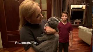 Татьяна Буланова и кот Масик "Главный котик страны" [8.10.2017]