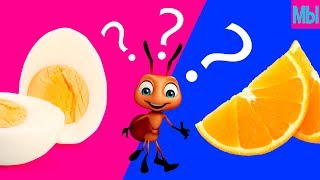 Муравье у нас Дома #2 - Эксперимент на Мы семья