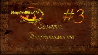 Заметки террариумиста. Выпуск №3: Искусственная лиана для террариума своими руками. От ReptoMir-TV