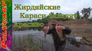 СВЕЖАК! ЛОВЛЯ БОЛЬШИХ КАРАСЕЙ ВЕСНОЙ НА ФИДЕР ФЛЭТ