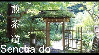 Japanese tea: Sencha tea ceremony lesson in Kamakura 煎茶道 黄檗売茶流 北鎌倉茶室 宝庵