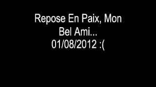 Poème pour mon chat