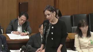 サヘル･ローズ参考人　藤野保史への答弁：5/22 衆院・法務委員会