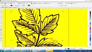 Corel Draw Tips & Tricks Design with Leafs and how to draw it