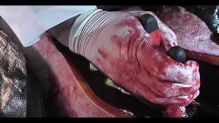 D6-12 Advanced Diploma SFX Makeup video