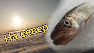 Поездка на север. Рыбалка на севере. Сахалинская рыбалка.