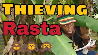 Thieving Rasta [ Fry Irish Comedy ]