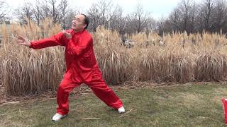 Grasp chest, grasp face, grasp heart, shaolin 13 claws form workout, kungfu tutorial