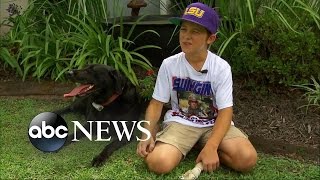 Boy Sneaks Into Neighbor's Garage to Hug Dog