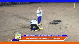 PRESENTACION DE LOS GATOS DEL NORTE EN LAS FIESTAS TAURINAS DE SAN FRANCISCO GOTERA