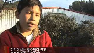 세계의 교육현장 - Global Education Issue_스페인, 투우학교_#002