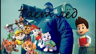 ?Клип грибы-тает лёд щенячий патруль?