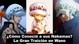 La Historia Completa de TRAFALGAR D WATER LAW - ONE PIECE (secretos y curiosidades)