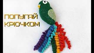 Попугай крючком // попугай амигуруми