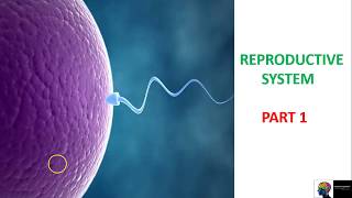 Reproductive System - ICSE class 10th Biology(Part 1)