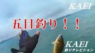 出勤前釣行　五目釣り