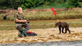 Отощавший голодный медвежонок совсем отчаялся. Он вышел к людям и взмолился о кусочке еды!