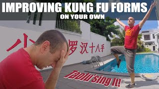How to Improve Kung Fu Forms | Doug Swift Loves Kung Fu