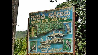 Gudavi Bird Sanctuary - Karnataka, sorab, karnataka tourism