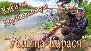 Клёв на ДОРАБОТАННУЮ Снасть"УБИЙЦА КАРАСЯ"! Что и Требовалось ДОКАЗАТЬ!