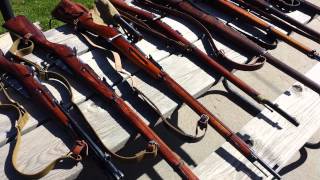 Collection of Military Surplus Rifles