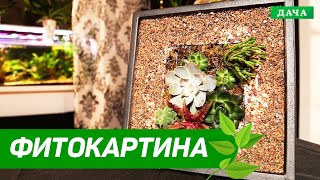 ВЕРТИКАЛЬНОЕ ОЗЕЛЕНЕНИЕ: ФИТОКАРТИНА СВОИМИ РУКАМИ