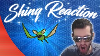 Pokemon ORAS Shiny Hunting Live Stream