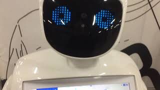 Общение с роботом.
