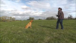 Reizangeltraining mit Jamie