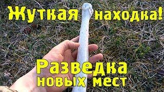 Разведка новых мест с Квазар АРМ. Жуткая находка!