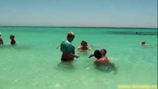 Райский остров на Красном море || Paradise island, Red sea