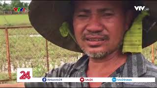 Phế liệu vượt biên giới tràn sang Việt Nam - Tin Tức VTV24