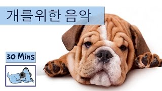 음악은, 당신의 개를 긴장 잠을 당신의 개를 도움