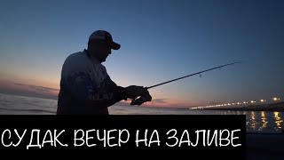 Спонтанная рыбалка на Финском заливе. Дамба. Кронштадт.