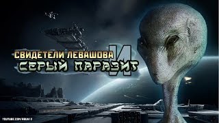 СВИДЕТЕЛИ ЛЕВАШОВА И СЕРЫЙ ПАРАЗИТ