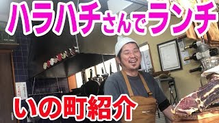【高知家】いの町ハラハチさん！