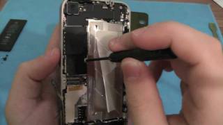 iPhone 4 Display Wechseln