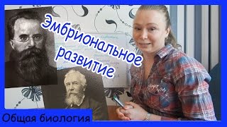 Урок биологии №41. Эмбриональное развитие.