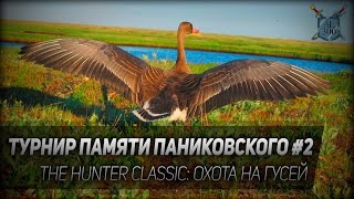 Охота на гусей. Турнир им. Паниковского #2. The Hunter Classic